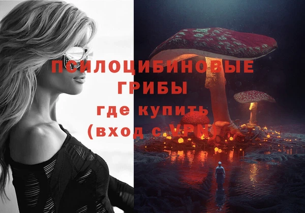 первитин Балахна