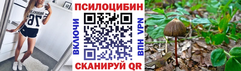 Псилоцибиновые грибы ЛСД Томмот
